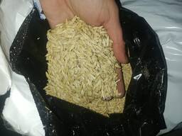 Продам Ячмень семенной