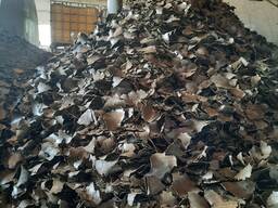 Продам жмых подсолнечный, льняной, рапсовый в большом количестве, собственное производство