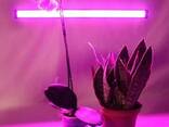 Продаю фитолампу ( фитосветильник) для рассады и комнатных растений - фото 1