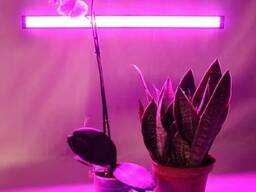 Продаю фитолампу ( фитосветильник) для рассады и комнатных растений