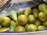 Продаю яблоки и груши - photo 3