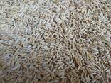Продаю Ячмень Сорт "Атлин" (Канадский) В Меркенском районе - фото 15