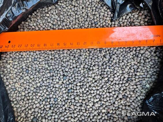 Продажа масленичных культур лен сафлор горчица белая желтая и т. д.