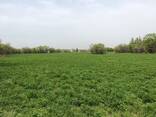 Продажа участка свободного назначения - фото 2