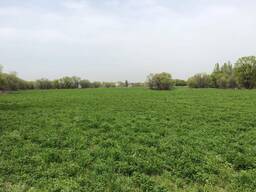 Продажа участка свободного назначения