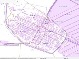 Қытай-Қазақстан шекарасындағы жерді сату