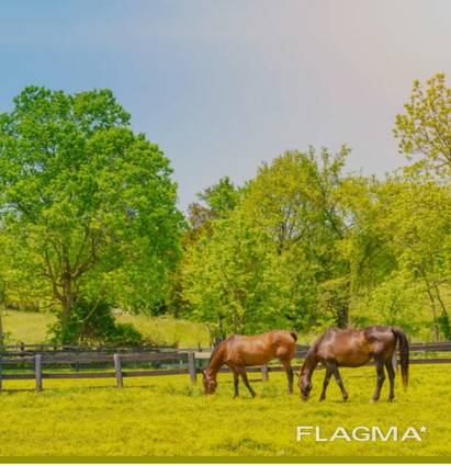 Продажа зернового хозяйства