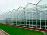 Проектирование промышленных теплиц из поликарбоната - фото 1
