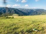 Производство органических экопродуктов в ВКО - photo 13