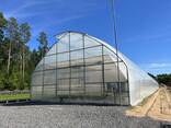 Промышленные пленочные теплицы. - photo 2