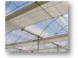 Промышленные теплицы - photo 2