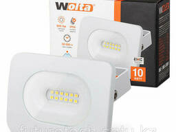 Прожектор светодиодный WFLW-10W/05