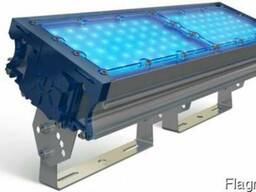 Прожекторное освещение TL-PROM 100 PR PLUS FL Blue