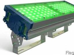Прожекторное освещение TL-PROM 100 PR PLUS FL Green