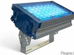 Прожекторное освещение TL-PROM 50 PR PLUS FL Blue