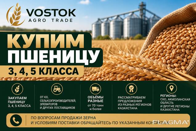 Пшеница 3, 4, 5 класса