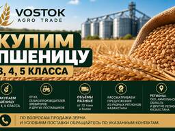 Пшеница 3, 4, 5 класса