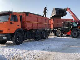 Пшеница 3 класса