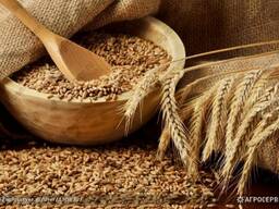 Пшеница фуражная , Рожь, Ячмень, Овёс, Шрот,