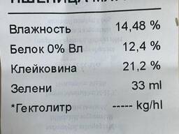 Пшеница мягких сортов 3.4. класса оптом