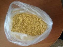 Пшено (крупа) ГОСТ 572-60