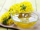 Рапс майы көтерме саудада - Рапсовое масло оптом - фото 1