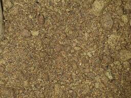 Рапсовый шрот