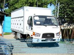 Рефрижератор глубокой заморозки на базе Hyundai HD78