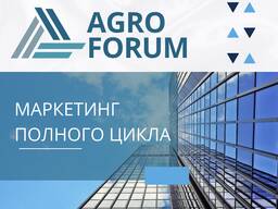 Реклама и маркетинг полного цикла