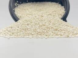 Рис Чапсари