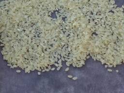 Рис Камалино Лидер