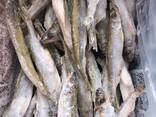 Рыба и морепродукты оптом и в розницу - photo 3