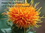 Сафлор - фото 2