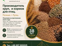 Сафлор куплю