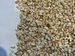 Сафлор очищенный (необработанный)