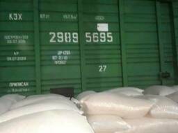 Сафлор продаем