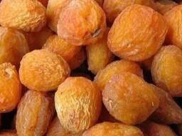 Саженец абрикоса "Кандак". Казахстан