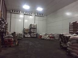 Сдам холодильные склады