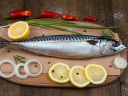 Сельдь и скумбрия свежемороженую оптом от 20 тонн!