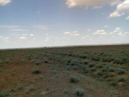 Сельское хозяйство