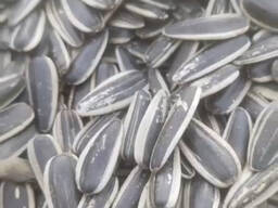 Семечки Кондитерка