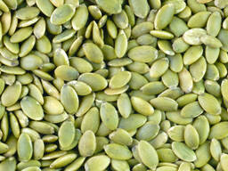 Семечки тыквенные в Алматы (очищенные)