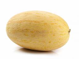 Семена дыни Донперо F1