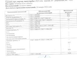 Семена красной чечевицы, сорт Канадская РС3