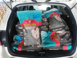 Семена кукурузы Гибридные