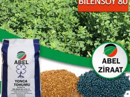 Семена люцерны Abel Bilensoy 80. Турция