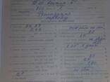 Семена люцерны (жоңышка) - photo 2