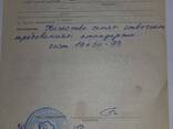 Семена люцерны (жоңышка) - photo 3