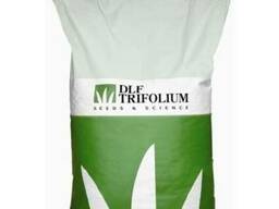 Семена "Мятлик луговой panduro" 25кг