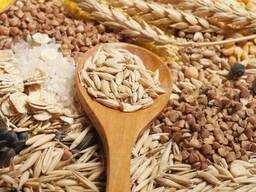 Семена подсолнечника, пшеница